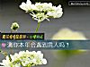 《测你本年会<i>遇到</i>贵人吗？》测试