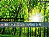 《测你与心仪学长的缘份指数》测试