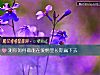 《测你如何做能在爱情里长期赢下去》测试
