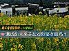《测试你未来子女对你够孝顺吗?》测试