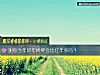 《测你今年的<i>年终奖</i>会比往年多吗?》测试