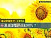 《测测你能抓住<i>财神</i>吗?》测试