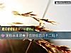 《测你未来的妻子会对你忠贞不二吗?》测试
