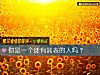 《你是一个徒有其表的人吗?》测试