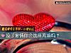 《没了爱情你会选择<i>离婚</i>吗?》测试