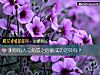 《测你陷入三角恋之后能成功逆转吗?》测试