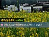 《测你未来的他会给你带来喜乐还是悲哀》测试