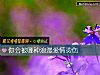 《你会被哪种浪漫<i>爱情</i>烫伤》测试