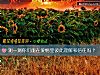 《测一测你们能在<i>爱情</i>里彼此理解和信任吗?》测试