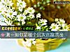 《测一测你是<i>哪个</i>层次的富贵命》测试