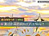 《测试你<i>真的</i>拥有优质友情吗?》测试