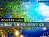 《测试你在<i>哪个</i>季节最容易发财》测试
