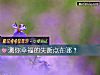 《测你幸福的失衡点在哪?》测试